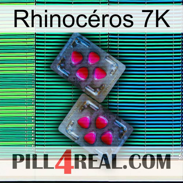 Rhinocéros 7K 15
